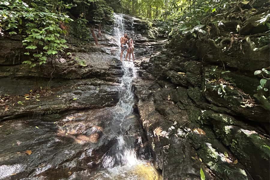 Rio de Janeiro: Tijuca National Park Tour - Wildlife spotting, photography, and the guides who set the pace