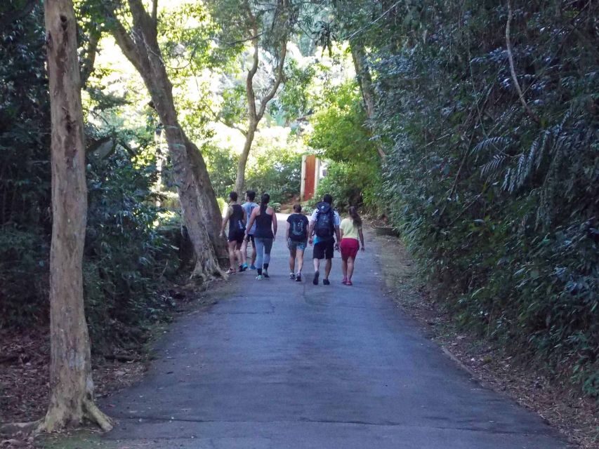 Rio de Janeiro: Tijuca Peak Guided Hike - Cachoeira das Almas Waterfall and the Rock Staircase You’ll Notice on the Route