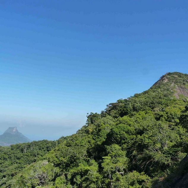 Rio de Janeiro: Tijuca Peak Guided Hike - Price and Value: Why $56 Can Be Reasonable for This Day
