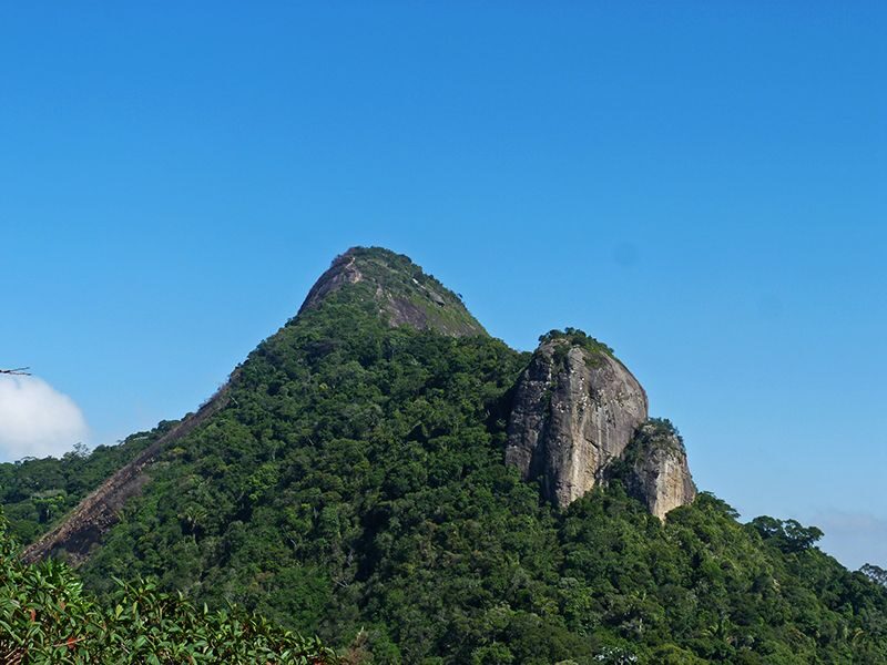 Rio de Janeiro: Tijuca Peak Guided Hike - Who Should Book This Hike (and Who Might Want a Different Plan)