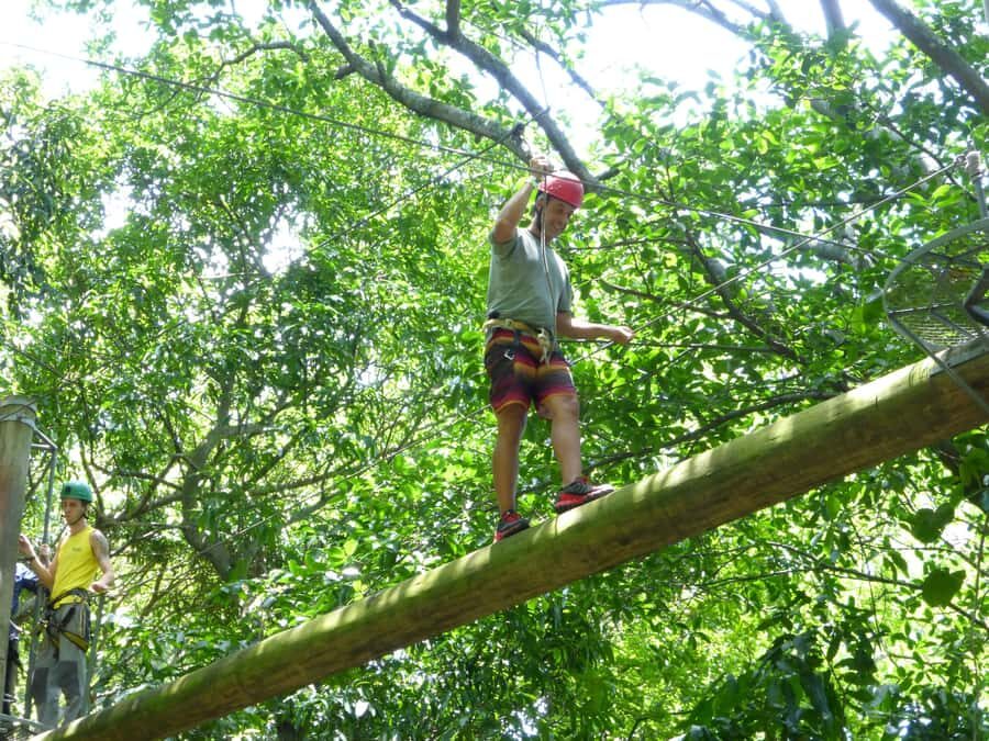 Rio de Janeiro: Zip Lining and Canopy Tree Tour - Key highlights worth your time