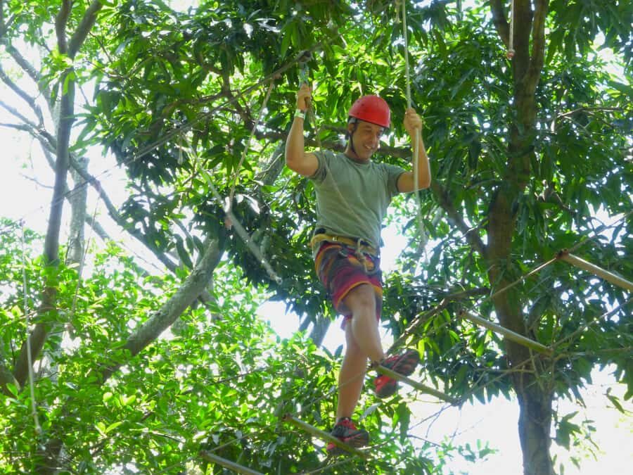 Rio de Janeiro: Zip Lining and Canopy Tree Tour - A treetop tour that starts in Rio, not deep in the jungle