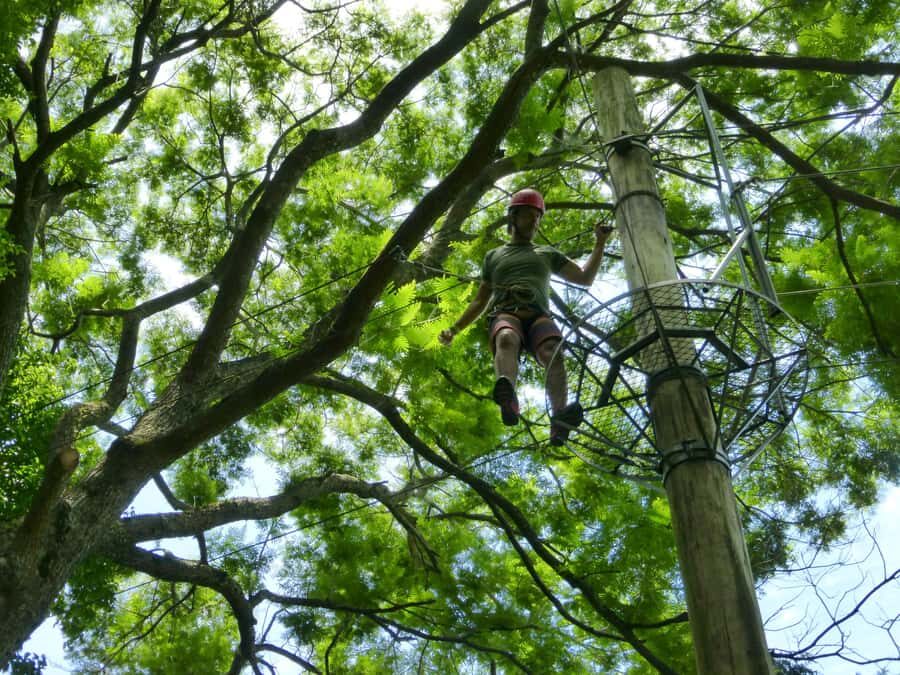 Rio de Janeiro: Zip Lining and Canopy Tree Tour - Pickup in Rio: how the timing tends to feel in real life
