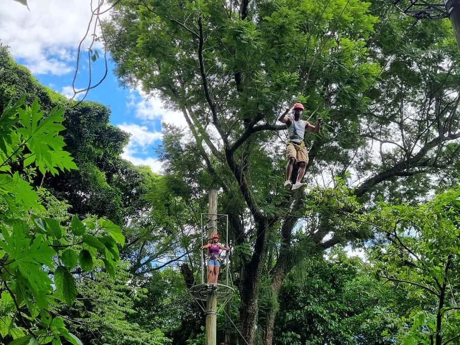 Rio de Janeiro: Zip Lining and Canopy Tree Tour - Parque Natural Municipal da Catacumba: the easy hike with real views