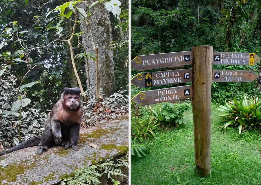 Rio: Half-Day Jeep Tour at Floresta da Tijuca - Capela Mayrink: the peaceful 1855 chapel stop with a trail transition