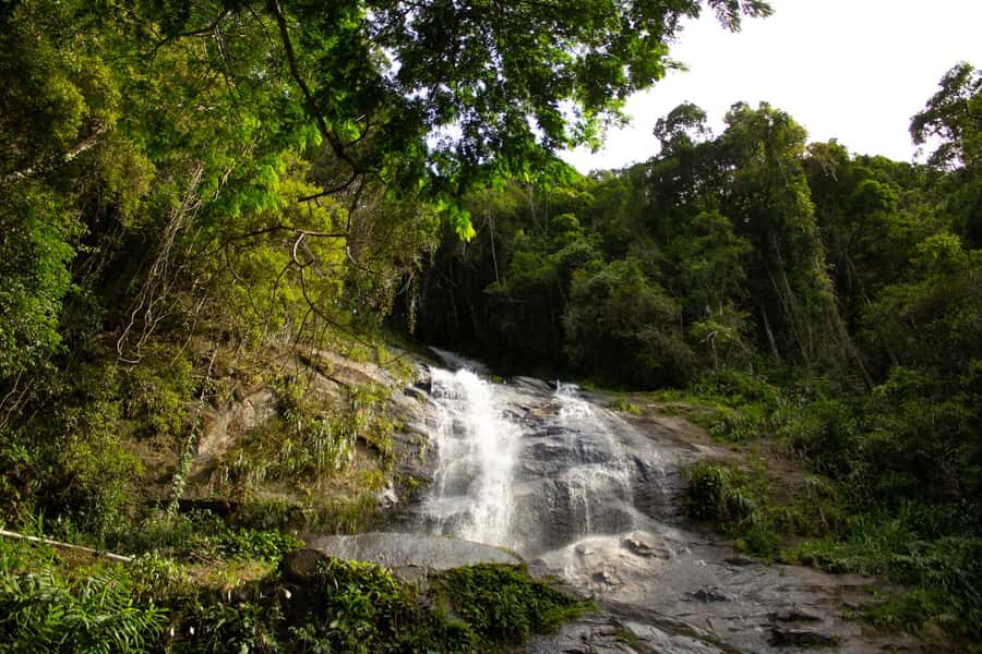 Rio: Half-Day Jeep Tour at Floresta da Tijuca - São Conrado Beach: hand-gliders as your scenic finale