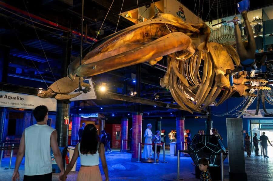 Rio: Olympic Boulevard, AquaRio and Museum of Tomorrow Tour - Price and logistics: how $49 stacks up for this Rio combo