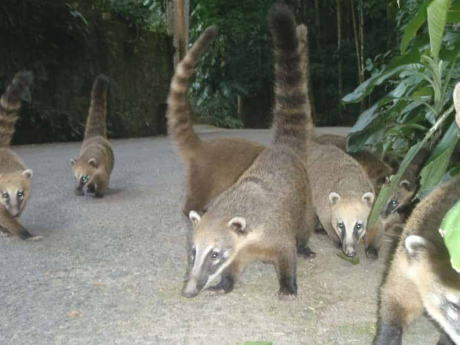 Rio: Private Tour 5 Hours Customized Tour With a Local Guide - Price and Value: What $109 for 5 Hours Buys You