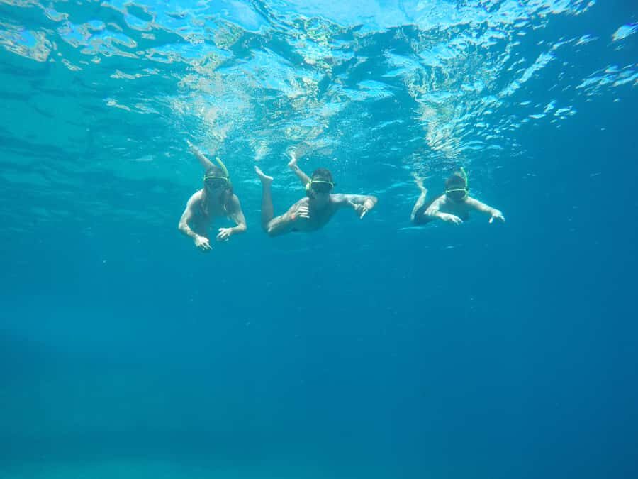 Rio: Snorkel & Swim with Turtles Tour at Tijuca Islands - Ilha da Coroa 2: the meeting point that keeps things easy