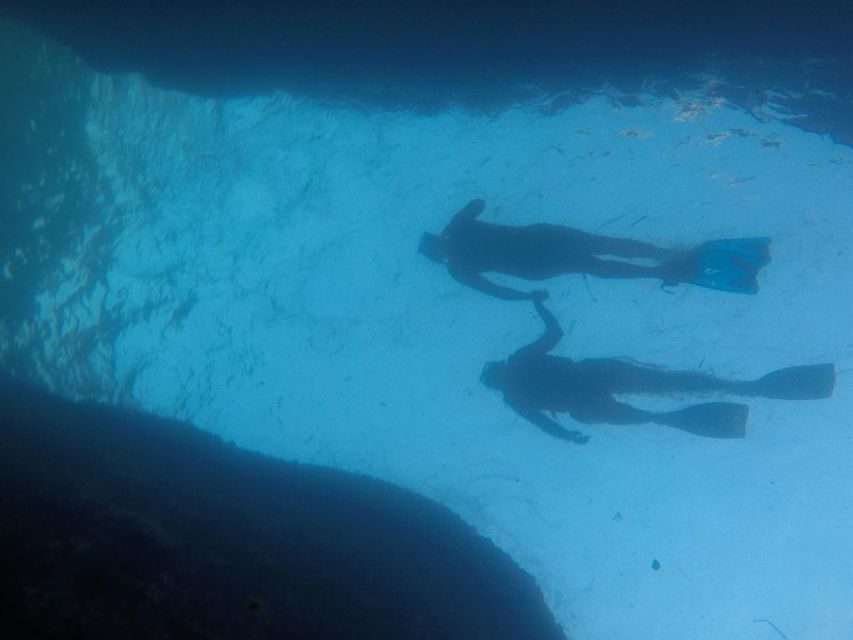 Rio: Snorkel & Swim with Turtles Tour at Tijuca Islands - Island breaks and the 30-minute walk when conditions allow