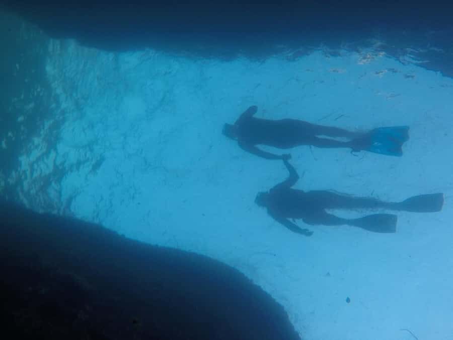 Rio: Snorkel & Swim with Turtles Tour at Tijuca Islands - The flow of the 3 hours: how the day moves (and why)