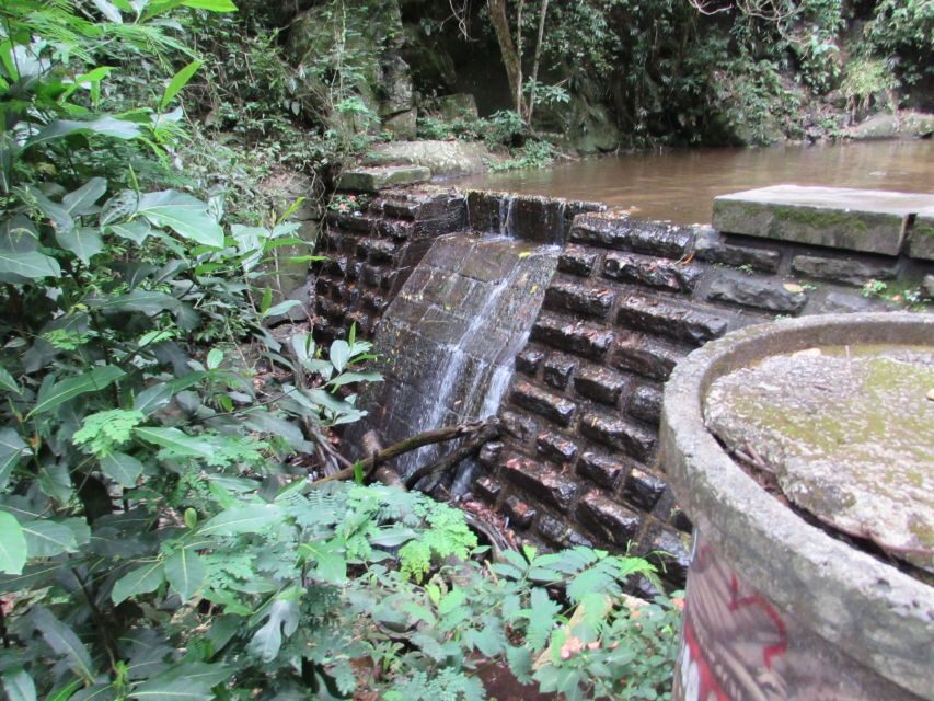 Rio: Tijuca Forest & Horto Waterfalls Circuit Tour - Tijuca’s waterfalls: why this beats another Rio afternoon