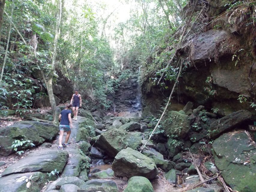 Rio: Tijuca Forest & Horto Waterfalls Circuit Tour - Your circuit, step by step: Horto Trail to Cachoeira do Chuveiro