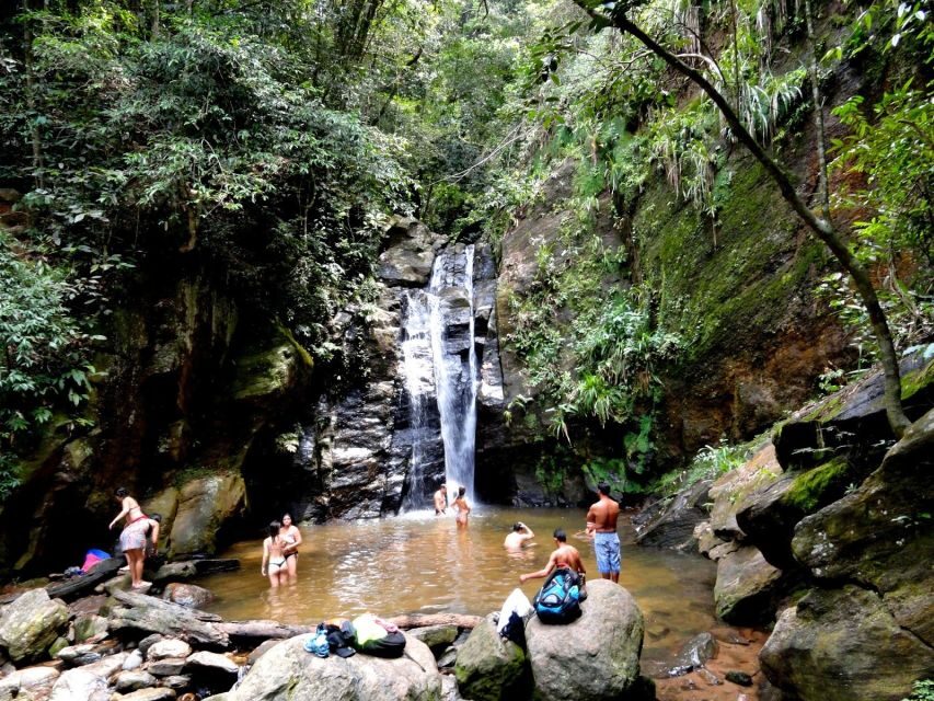 Rio: Tijuca Forest & Horto Waterfalls Circuit Tour - Price and value: $56 for a 4-hour nature circuit that feels real