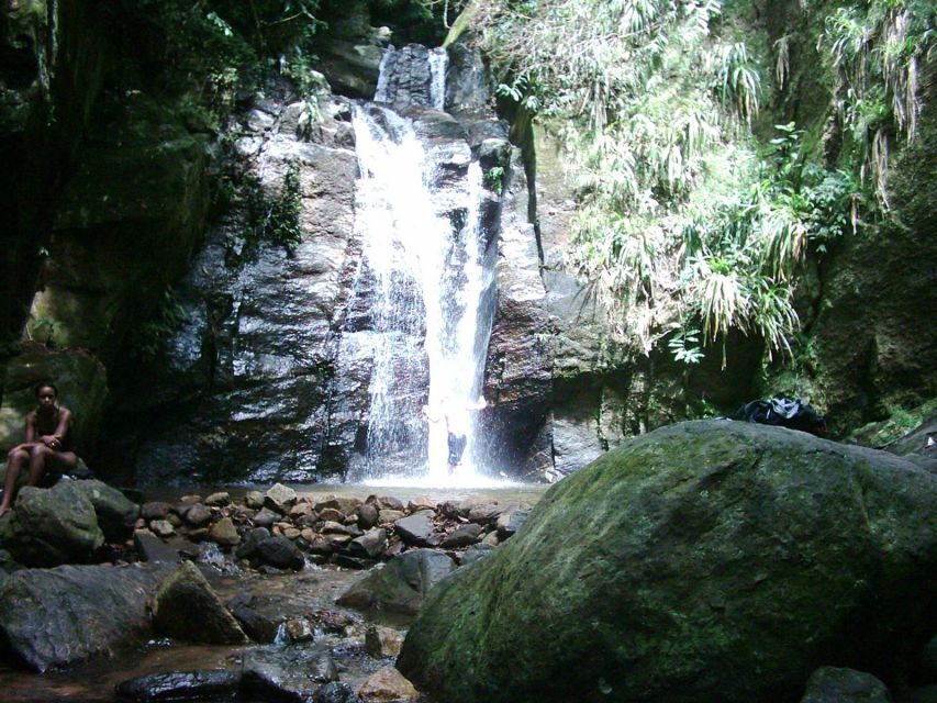 Rio: Tijuca Forest & Horto Waterfalls Circuit Tour - Where you’ll start and end (and why it matters)