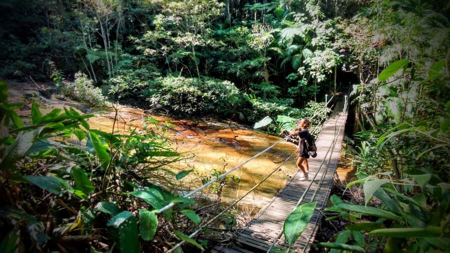 Rio: Tijuca Forest Small Group Hike to Caves and Waterfalls - Key points before you go