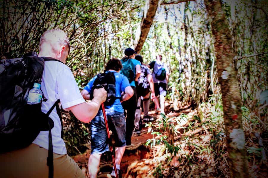 Rio: Tijuca Forest Small Group Hike to Caves and Waterfalls - Cascatinha Taunay and Mayrink Chapel: coffee-era trails meet waterfall power