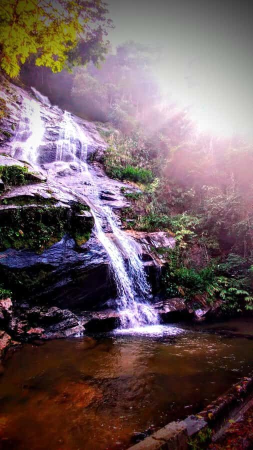 Rio: Tijuca Forest Small Group Hike to Caves and Waterfalls - Returning through history details: Barão’s residence, Wallace Fountain, and viewpoints