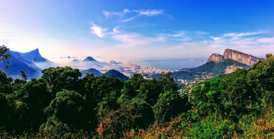 Rio: Tijuca National Park Small-Group Hike to Pedra Bonita - The guide experience: what you should look for on the trail