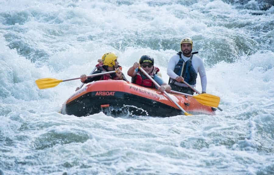 Rio: White Water Rafting Adventure tour in Rio de Janeiro - Wildlife spotting in the Atlantic rainforest without turning it into a chore