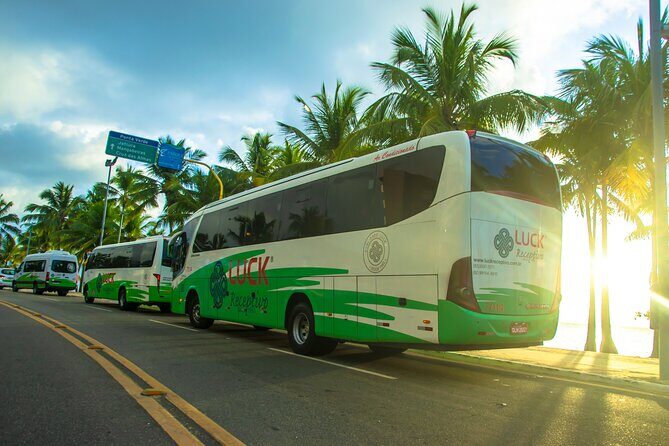Round trip transfer between Airport and Hotels in Maceió - From Palmares Airport to Your Hotel: The Arrival Side