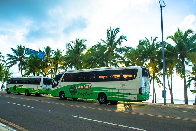 Round trip transfer between Airport and Hotels in Maceió - Vehicles, Tracking, and Comfort That Actually Help