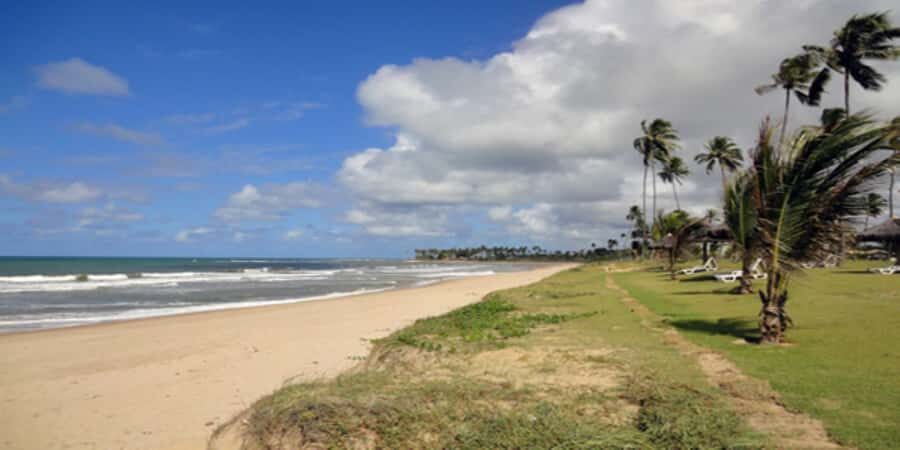 Salvador: Praia Do Forte and Guarajuba Beach Day Trip - Praia do Forte: The Famous Village Stop You’ll Actually Enjoy Walking