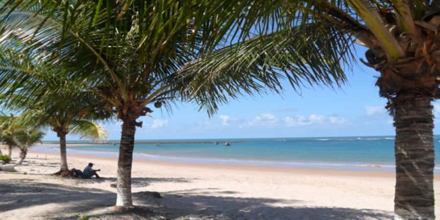 Salvador: Praia Do Forte and Guarajuba Beach Day Trip - Guarajuba Beach: Calm Water Time, Less Rush, More Relax