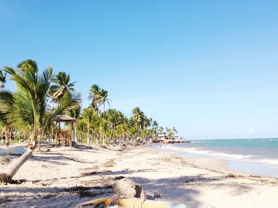 Salvador: Schooner Cruise with Pickup and Itaparica Stop - Ilha dos Frades Stop: The Two-Hour Beach Moment That People Hope For