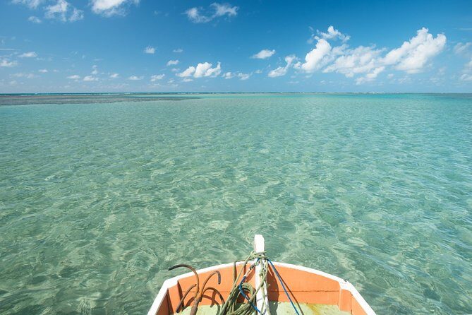 São Miguel dos Milagres Tour from Maragogi with Costazul Turismo - Key highlights to know before you go