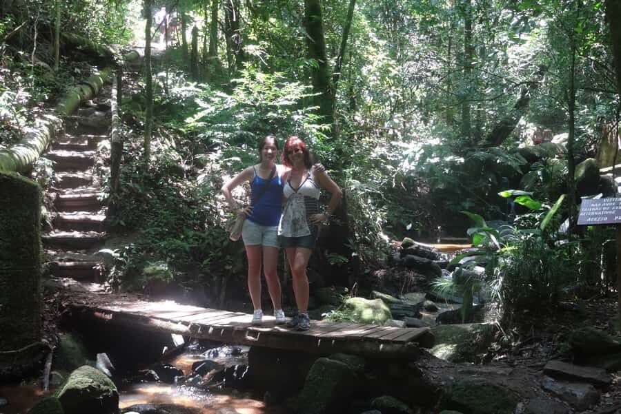 São Paulo: Cantareira Natural Park Guided Rainforest Hike - Pickup, Getting There, and Why Where You Meet Matters