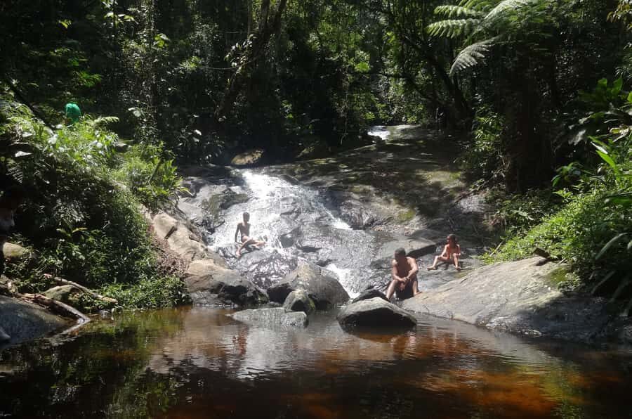 São Paulo: Cantareira Natural Park Guided Rainforest Hike - The Main Park Camp: Start With a Park Map and Wildlife Focus