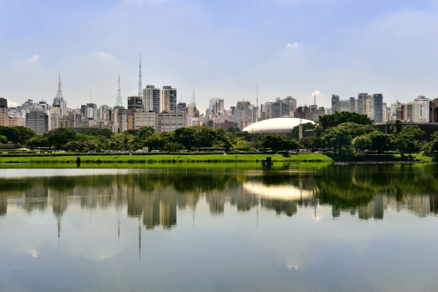 São Paulo: Full-Day Guided City Tour from the Port of Santos - Key Highlights You’ll Feel Fast