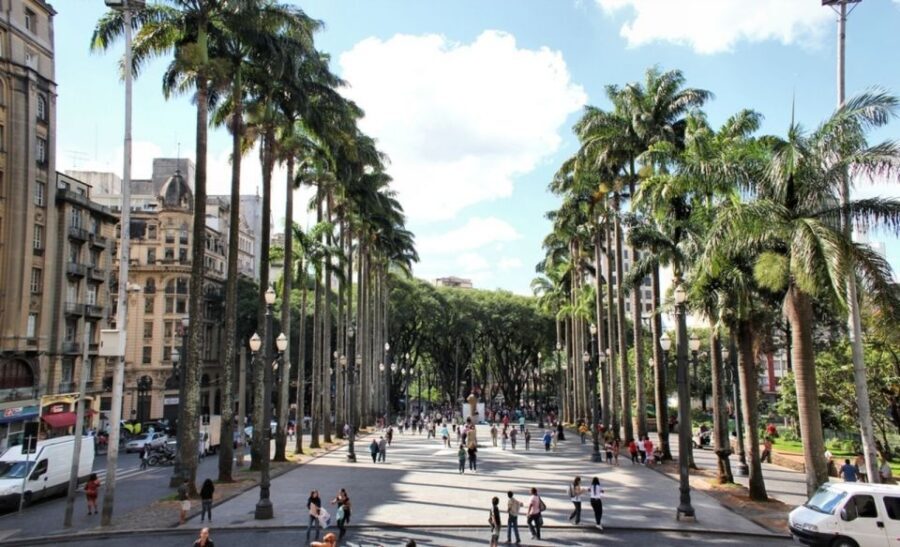 São Paulo: Full-Day Guided City Tour from the Port of Santos - Practical Stuff: What to Bring and What Can Trip You Up