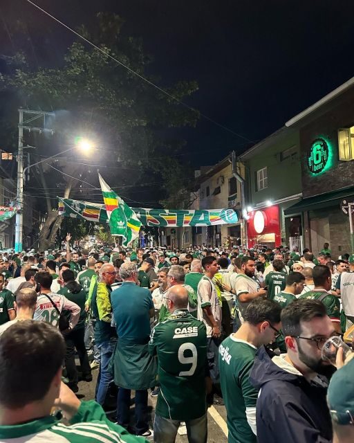 São Paulo: Join a Palmeiras Game Experience with a local - Inside Allianz Parque: Ticketed Entry and Facial Recognition Help