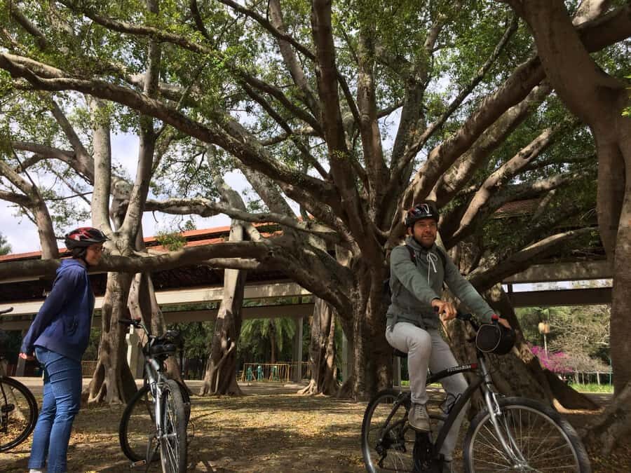 São Paulo: Street Art Bike Tour - Vila Madalena: where the street art makes sense