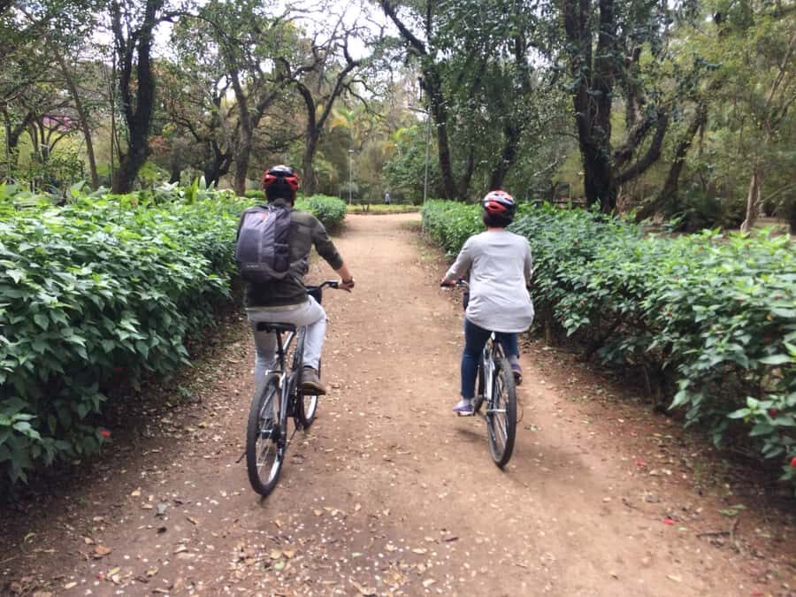 São Paulo: Street Art Bike Tour - The practical side: bikes, pacing, and what to bring