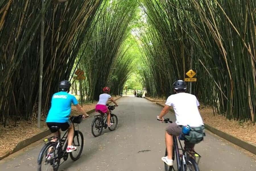 Sao Paulo: The Coolest Urban Scenes Bike Tour - The Big Idea: Seeing São Paulo’s Contrasts in One Ride