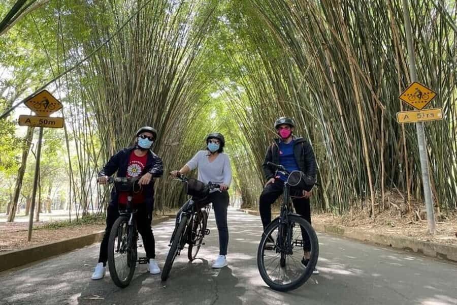 Sao Paulo: The Coolest Urban Scenes Bike Tour - Pinheiros: Quirky Streets, Murals, and Nightlife Energy