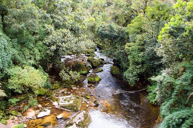Scenic Train ride to historical cities of Morretes and Antonina - Why the Curitiba-to-Morretes train ride feels like the whole point