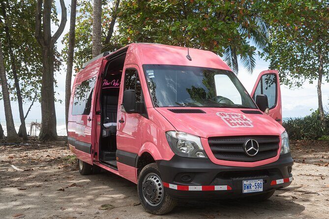 Shuttle from Puerto Viejo to San Jose - Pickup timing from Puerto Viejo to San José