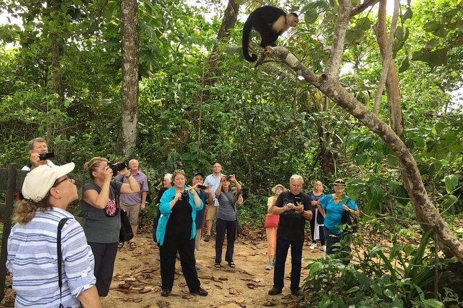 Sloths Lovers Tour. Puerto Limon Shore Excursion - Why the guide commentary can make or break the day