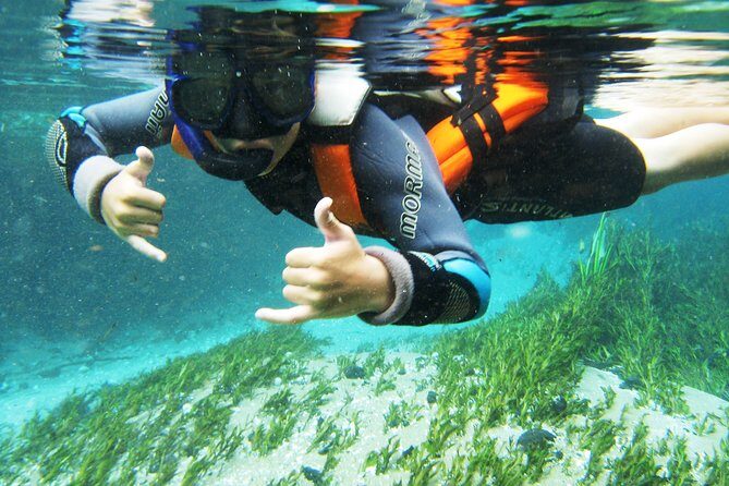 Snorkel in the Sucuri River - From hotel pickup to Hacienda São Geraldo boat ride