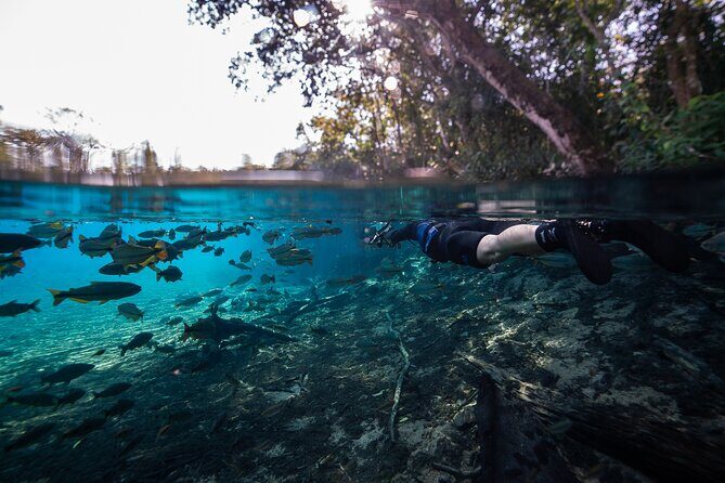 Snorkel in the Sucuri River - Group size and the 4-hour pace in real life