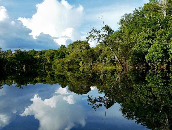 Snorkel in the Sucuri River - The 2-hour snorkel float: gear, mask-fit, and what you’ll see