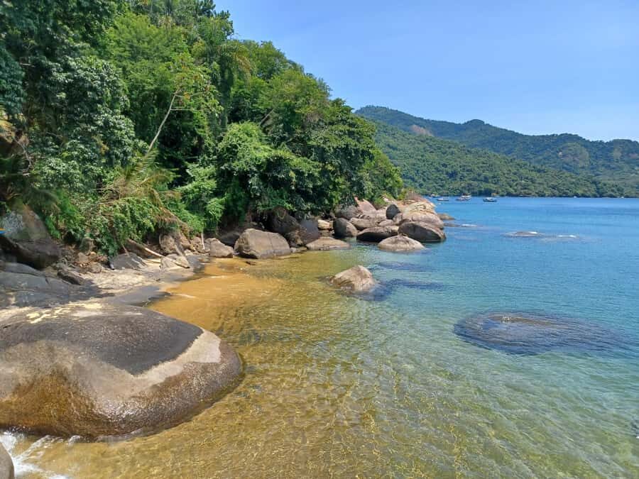 Snorkeling with turtles in their natural habitat - Who should book this turtle snorkeling trip?