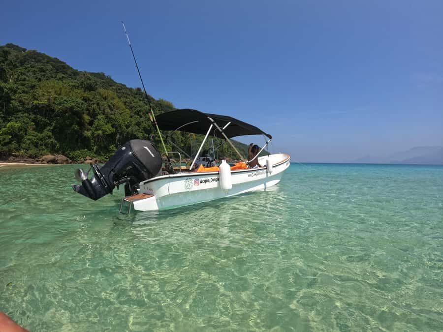 Snorkeling with turtles in their natural habitat - What’s included (and why it adds up)