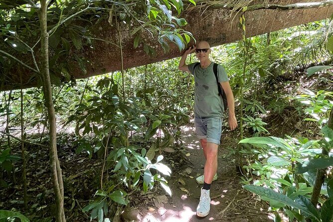 Sugarloaf - Hike and Easy Climb Sugarloaf's Coast - Cable car down to Morro da Urca: the smart way to finish