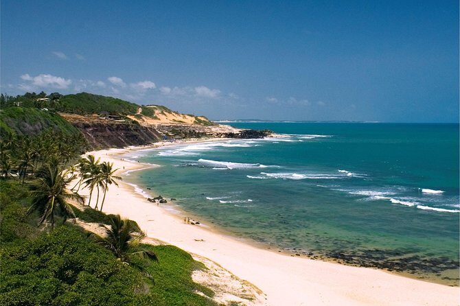 Sun and Fun at Pipa Beach: Day Tour from Natal - Stop 2: Baía dos Golfinhos for dolphin spotting (and low-tide strategy)