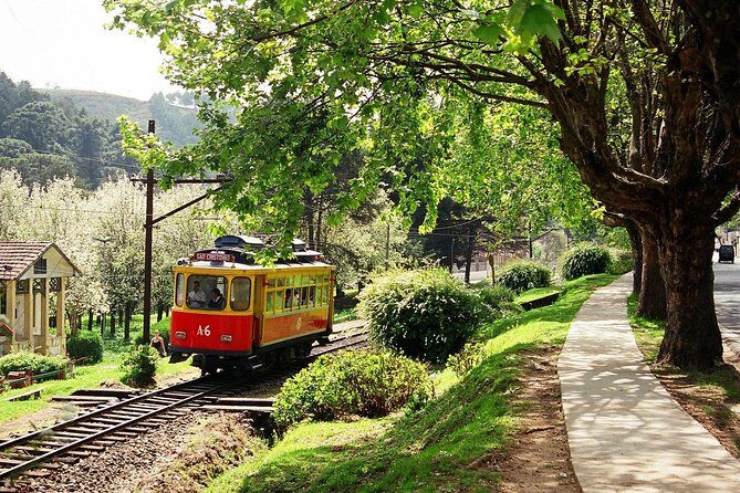 The Brazilian Switzerland - Day Trip on Campos do Jordão from São Paulo - Meeting point and timing: the part that affects your whole day